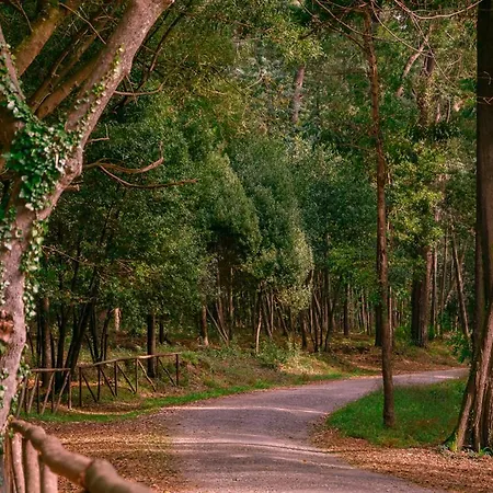 Terrace Bairro Novo By Rent4all